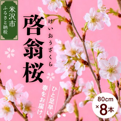【先行受付】 啓翁桜 ( けいおうざくら ) 80cm×8本 切り花