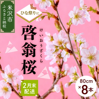 【先行受付】 【ひなまつり用】 啓翁桜 ( けいおうざくら ) 80cm×8本 切り花