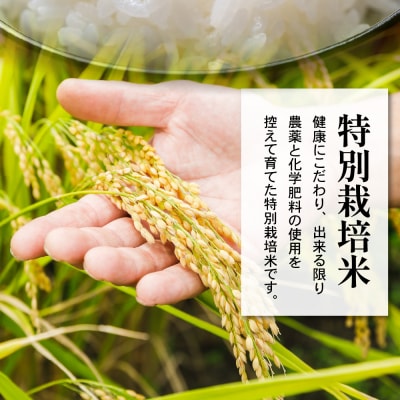 令和7年産 特別栽培米 つや姫 10kg ( 5kg×2袋 )