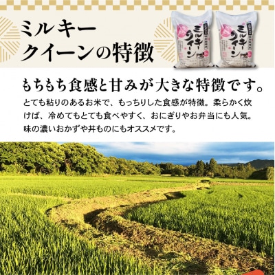 令和7年産 特別栽培米 ミルキークイーン 10kg ( 5kg×2袋 )
