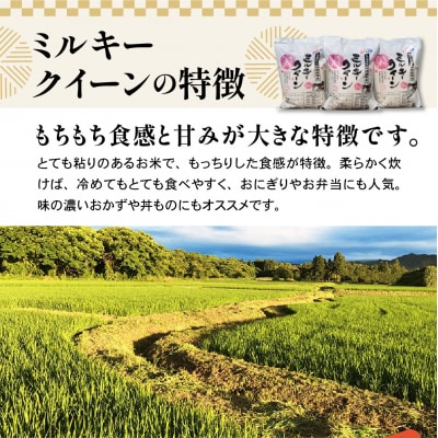 令和7年産 特別栽培米 ミルキークイーン 6kg ( 2kg×3袋 )