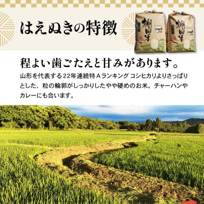 令和7年産 米沢米 棚田米 はえぬき 10kg ( 5kg×2袋 )