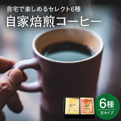 自宅で楽しめる セレクト 6種 自家焙煎 コーヒー 6袋 ( 1袋 30g ) 【豆タイプ】