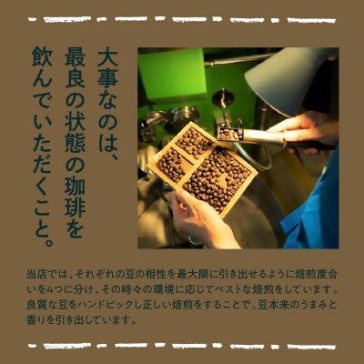 自宅で楽しめる セレクト 6種 自家焙煎 コーヒー 6袋 ( 1袋 30g ) 【粉タイプ】