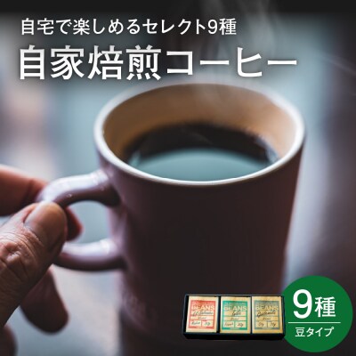 自宅で楽しめる セレクト 9種 自家焙煎 コーヒー 9袋 ( 1袋 30g ) 【豆タイプ】