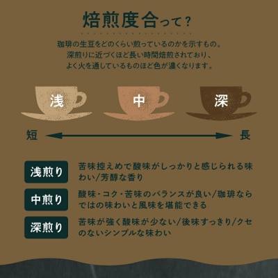 本格 ドリップコーヒー 厳選 10種 自家焙煎 コーヒー 10袋 ( 1袋 11g )