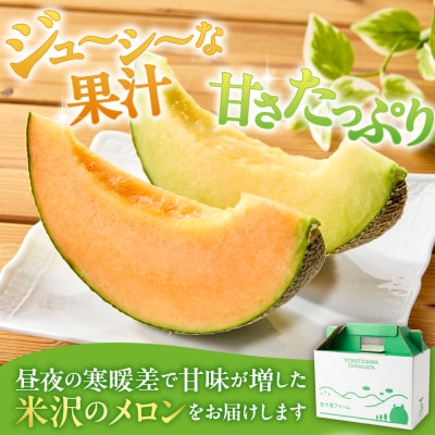 【先行受付】 令和8年産 赤肉青肉メロン 食べ比べ 2セット 各2玉 計4玉 8kg以上