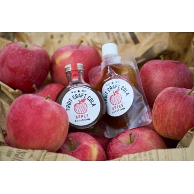 りんご クラフトコーラ 原液 シロップ 100ml パウチ パック 3本セット