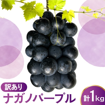 【先行予約】 令和8年産 訳あり ぶどう ナガノパープル 1kg 2026年9月上旬頃～お届け予定