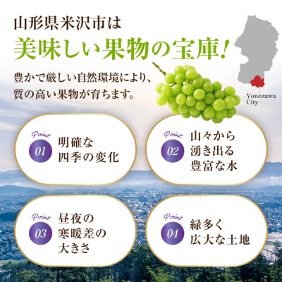 【先行受付】 令和8年産 訳あり ぶどう ナガノパープル 1kg