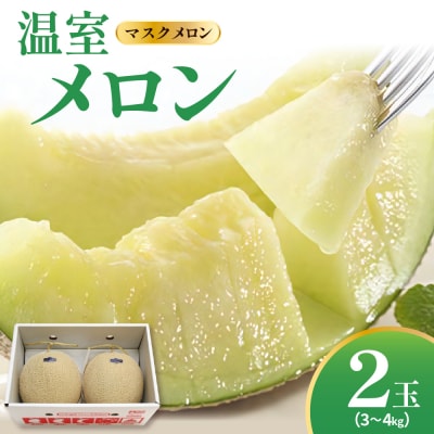 【先行受付】令和8年産 温室メロン マスクメロン 2玉(3～4kg程度)