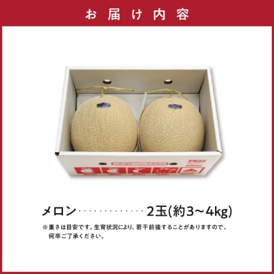 【先行受付】令和8年産 温室メロン マスクメロン 2玉(3～4kg程度)