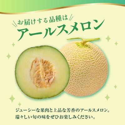 【先行受付】 数量限定 令和8年産 温室 メロン マスクメロン 2玉 (約3～4kg)