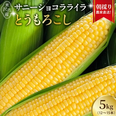 【先行受付】令和8年産 とうもろこし 5kg(12本～15本)サニーショコラ ライラ