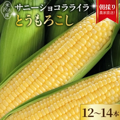 【先行受付】令和8年産 とうもろこし 12本～14本 サニーショコラ ライラ