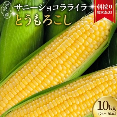 【先行受付】令和8年産 とうもろこし 10kg(24本～30本)サニーショコラ ライラ