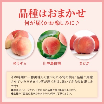 【先行受付】数量限定 令和8年産 もも 化粧箱入 8～11玉 品種 おまかせ