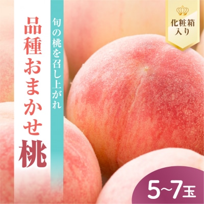 【先行受付】 数量限定 令和8年産 もも 5～7玉 品種 おまかせ