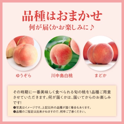 【先行受付】 数量限定 令和8年産 もも 5～7玉 品種 おまかせ