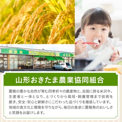 【先行受付】令和8年産 枝豆 上杉まめ 250g × 8袋 計2kg 1箱 品種 おまかせ