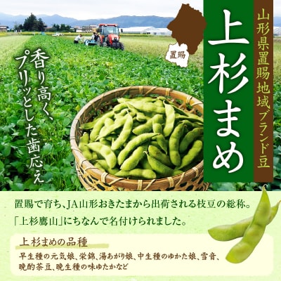 【先行受付】令和8年産 枝豆 上杉まめ 秘伝 250g × 8袋 計2kg 1箱