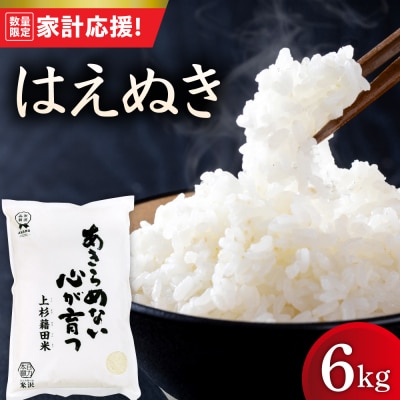 【令和7年産】 はえぬき 6kg ( 2kg × 3袋 )