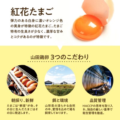 【数量限定】 ウフウフガーデン たまごやの ブリオッシュ 食パン 1.5斤×2本