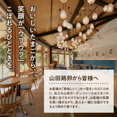 極上たまごのプレミアムチーズテリーヌ 390g 1本