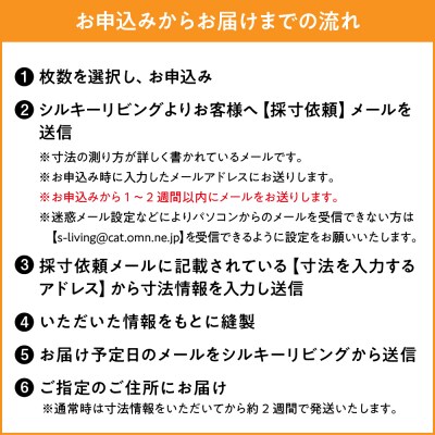 【吸着消臭】【オーダーカーテン】 ゼオテックス 加工レース カーテン