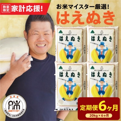 【6ヶ月定期便】 令和7年産 はえぬき 20kg ( 5kg × 4袋 ) × 6回 計120kg