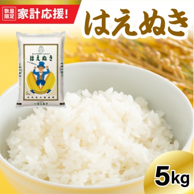 【令和7年産】はえぬき 5kg 〔精米〕※4月発送分