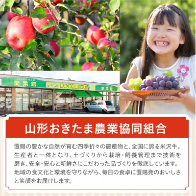 【先行受付】 令和8年産 りんご & ラ・フランス 詰め合わせ セット 各 約2kg 計 約4kg