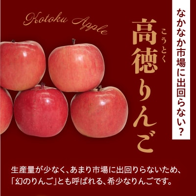 【先行受付】 令和8年産 高徳 りんご 秀以上 約1.8kg 6玉 ～ 12玉