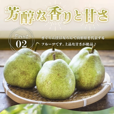 【先行予約】令和8年産 ラ・フランス 特秀 約3kg7玉～10玉 2026年11月中旬～下旬頃お届け