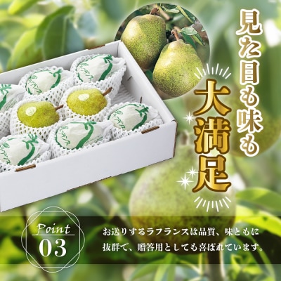 【先行予約】令和8年産 ラ・フランス 特秀 約3kg 7玉 ～ 10玉