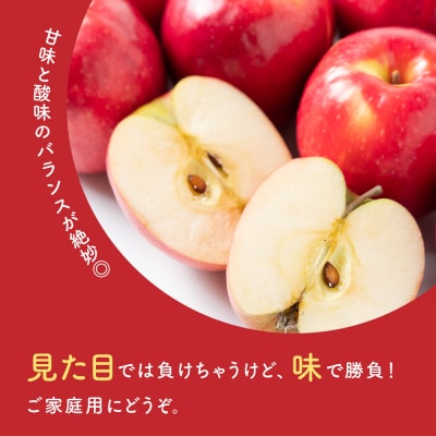 【先行予約】令和8年産 訳ありりんご サンふじ 約10kg 2026年11月中旬～12月上旬頃お届け