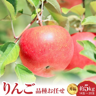 【先行受付】 令和8年産 りんご 品種お任せ 秀品 約5kg 14玉 ～ 20玉 中生種
