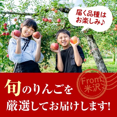 【先行受付】 令和8年産 りんご 品種お任せ 秀品 約5kg 14玉 ～ 20玉 中生種