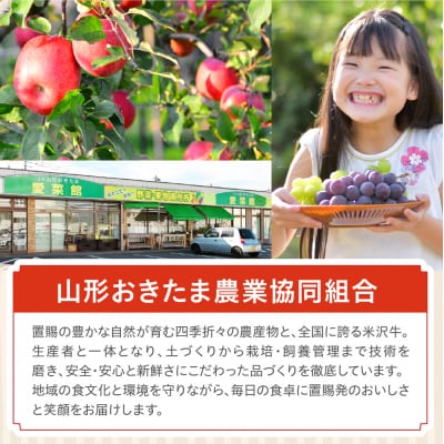 【先行受付】 令和8年産 りんご 品種お任せ 秀品 約2kg 5玉 ～ 8玉 中生種