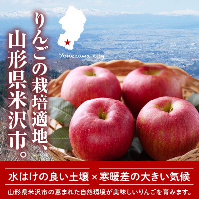 【先行受付】 令和8年産 訳あり りんご 品種 お任せ 約5kg 14玉 ～ 23玉