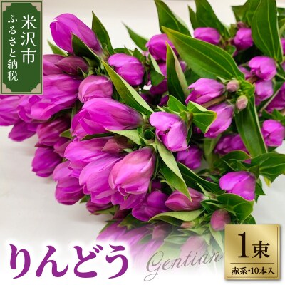 【先行受付】 りんどう 赤系 1束 10本入り 切花   2026年8月上旬～9月中旬お届け予定
