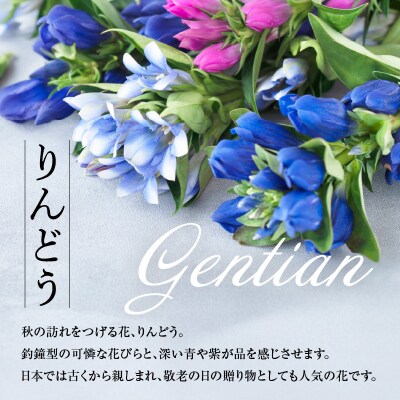 【先行受付】 りんどう 赤系 1束 10本入り 花 生花 切花