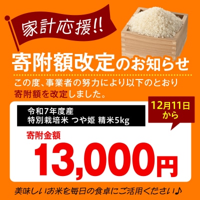 ※2026年4月発送分※ 【令和7年産】 特別栽培米 つや姫 5kg 〔精米〕