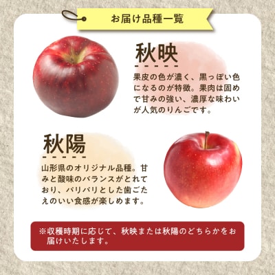 【先行受付】 令和8年産 舘山りんご 品種おまかせ 約2.5kg 9玉 ～ 11玉