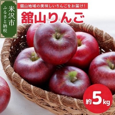 【先行受付】 令和8年産 舘山りんご 品種おまかせ 約5kg 16玉 ～ 20玉