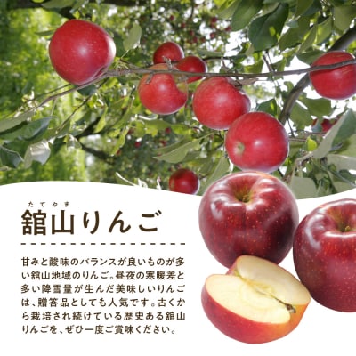 【先行受付】 令和8年産 舘山りんご 品種おまかせ 約5kg 16玉 ～ 20玉