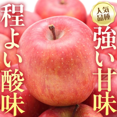 【先行受付】 令和8年産 舘山りんご ふじ 約5kg 16玉 ～ 20玉