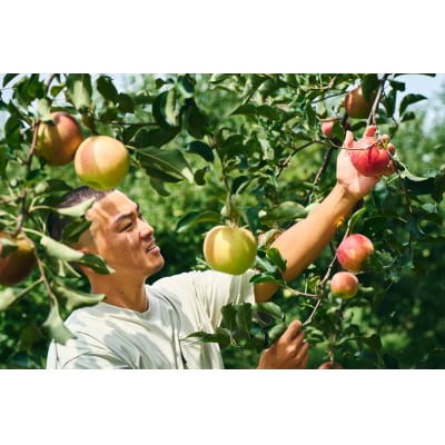 紅玉 クラフトコーラ 150ml 3本セット