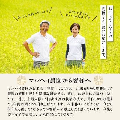 【先行予約】令和8年産 特別栽培米ミルキークイーン2合8袋 セット(1袋 300g)計2.4kg 