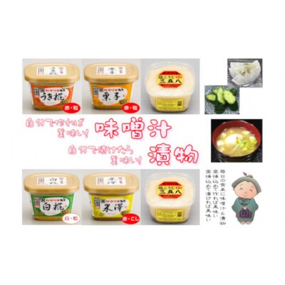 カクリキ 味噌人気ベスト4&塩こうじ三五八お試しセット 味噌 漬物 塩糀 